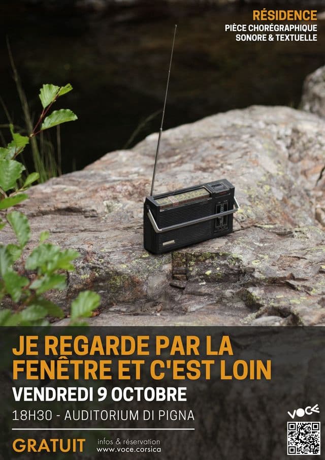 Affiche de Je regarde par la fenêtre et c’est loin